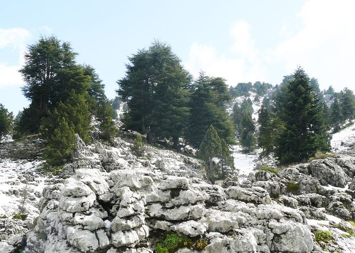 最大的洞穴群世界 -  Optymistychna洞