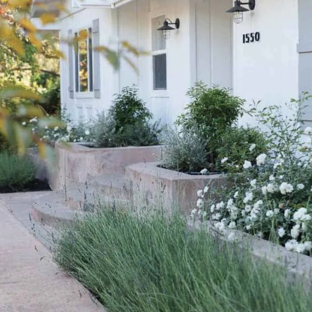 前院凸起花园床