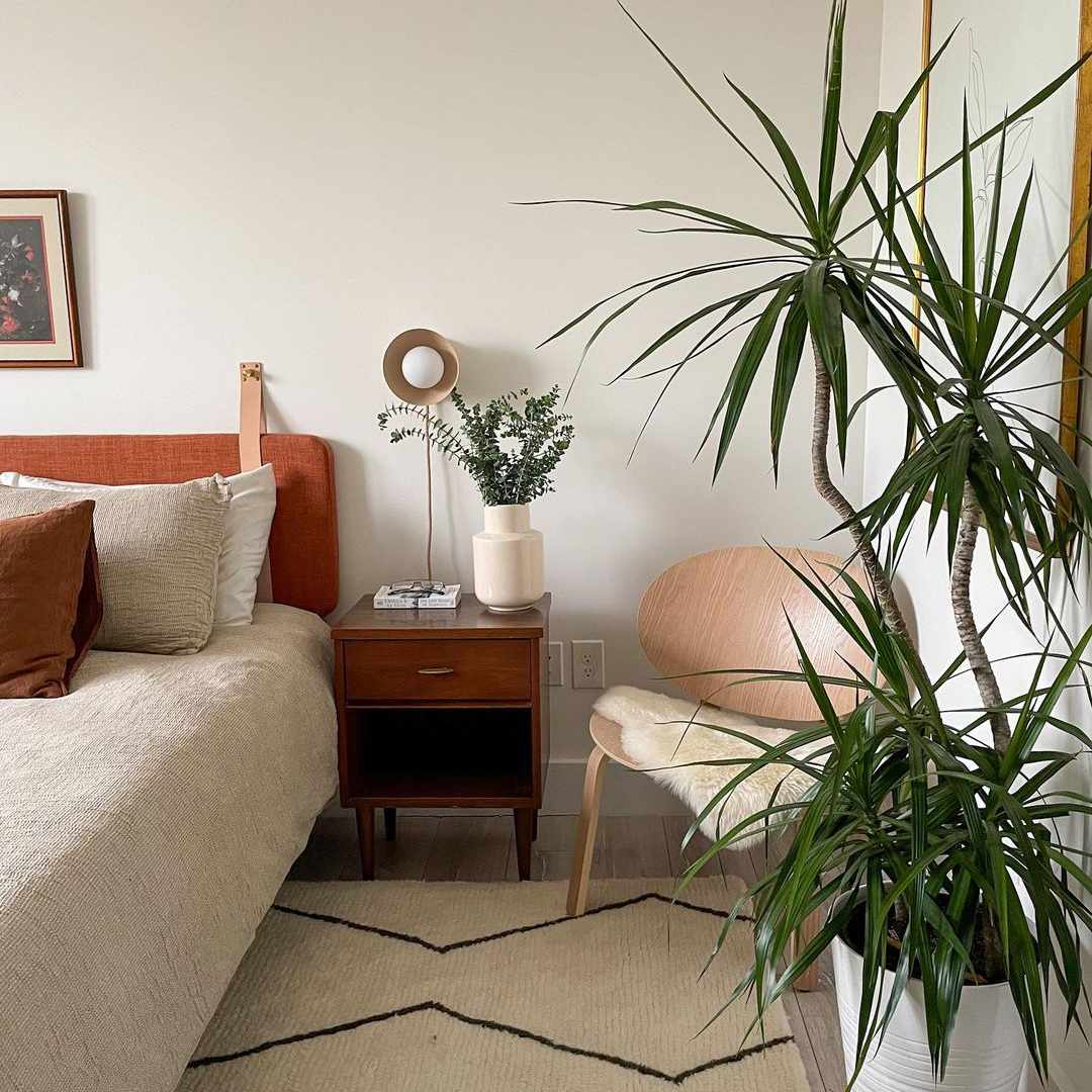 简约的卧室配有大植物。