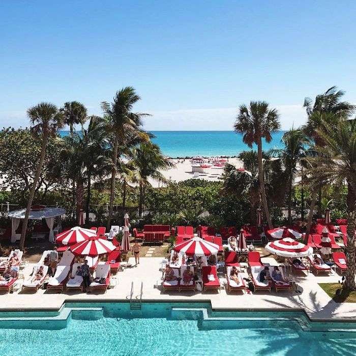 在迈阿密可以做的事情