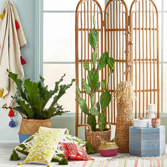 从目标的Opalhouse藏品
