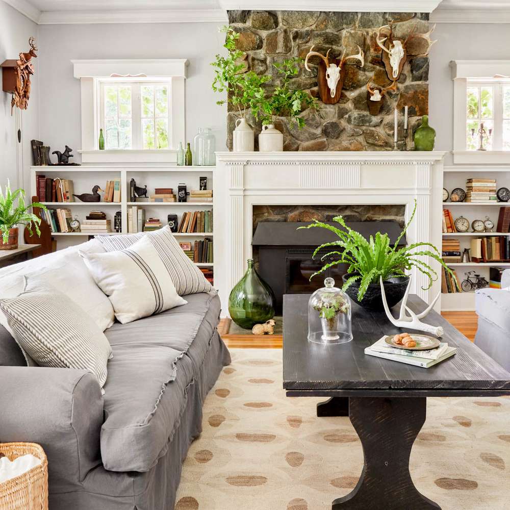 咖啡桌上的燕窝蕨