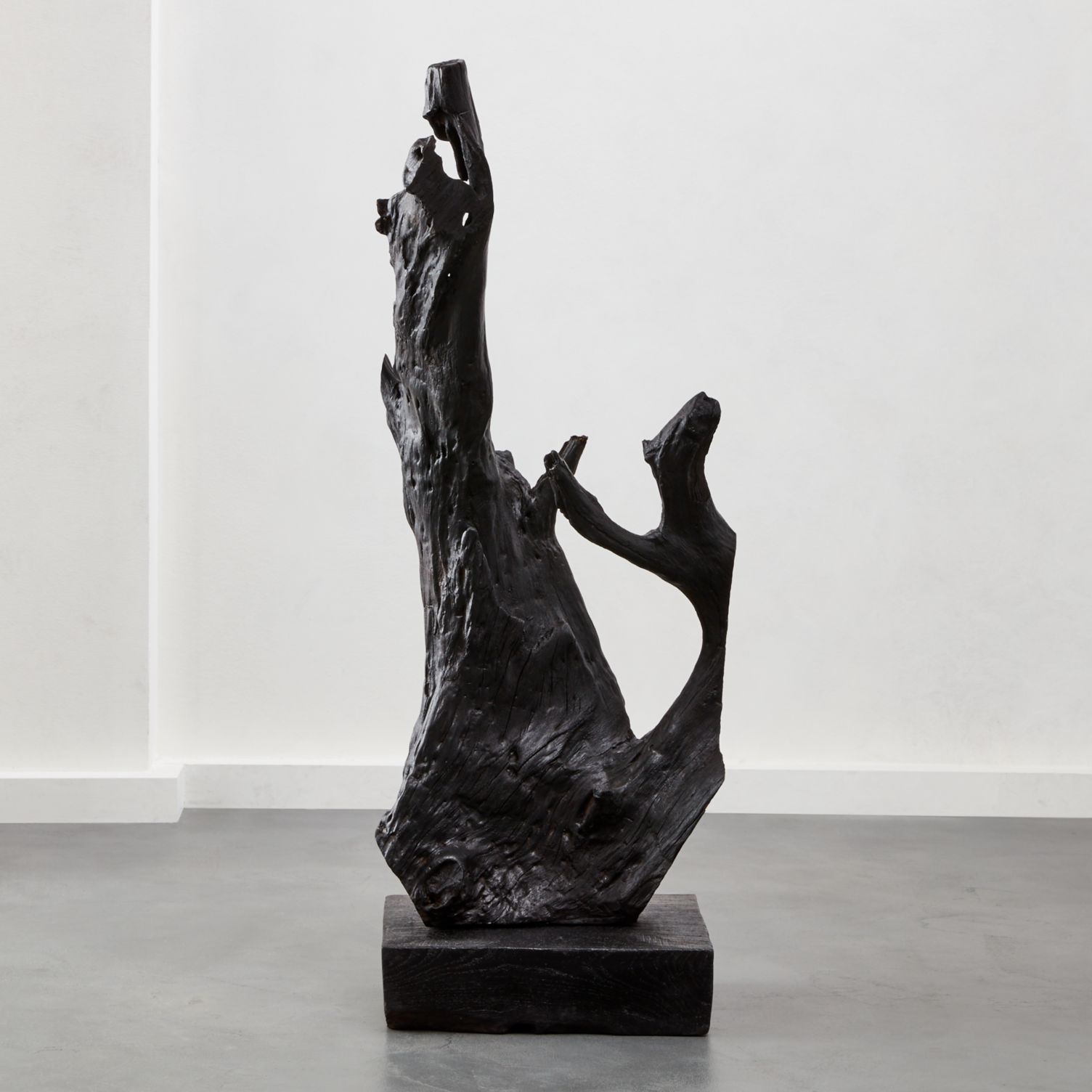 烧焦的柚木根通过CB2站在雕塑。