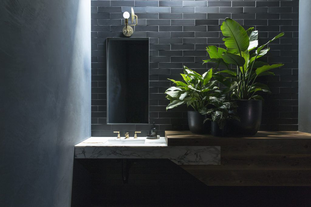 一间全黑的浴室，有几棵茂盛的植物