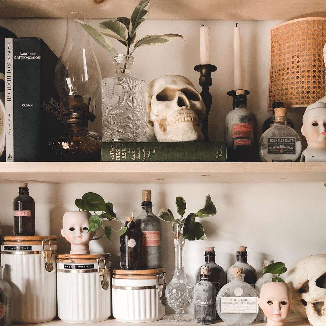 书架与婴儿玩偶头