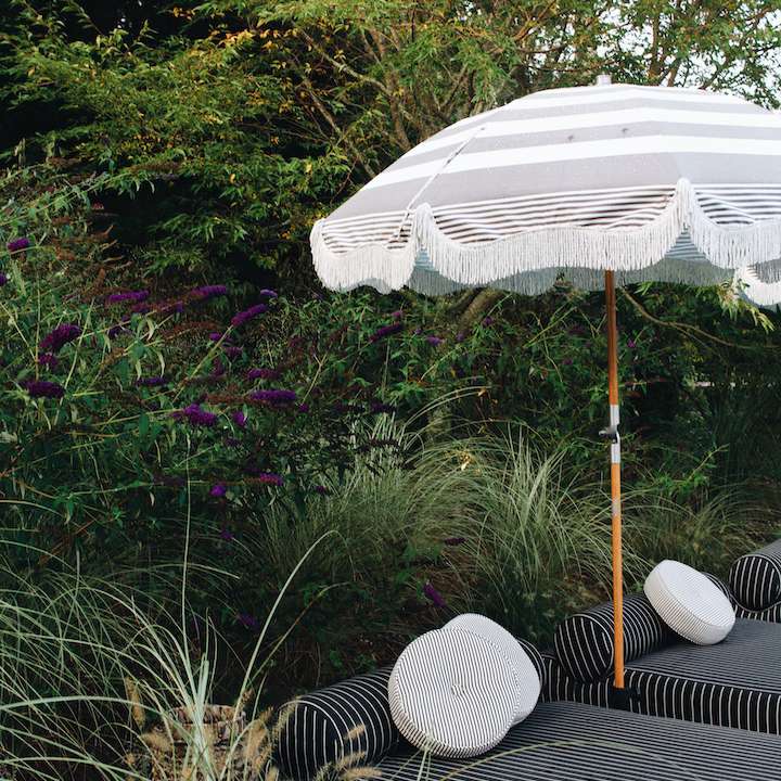 伞旁边的有机景观。