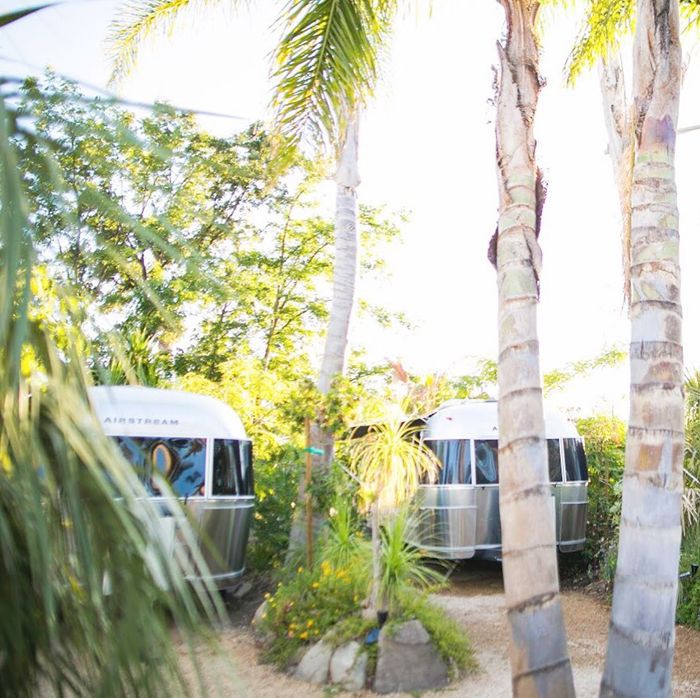 在欧海大篷车前哨棕榈树之间两股气流