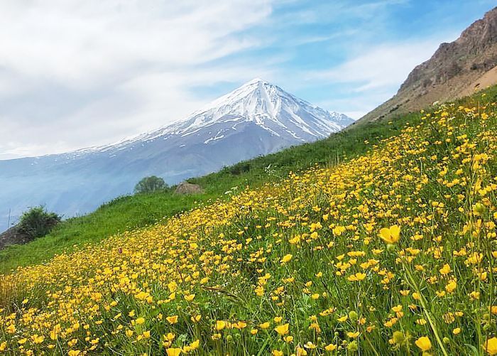 新的一年的环游世界 - 伊朗