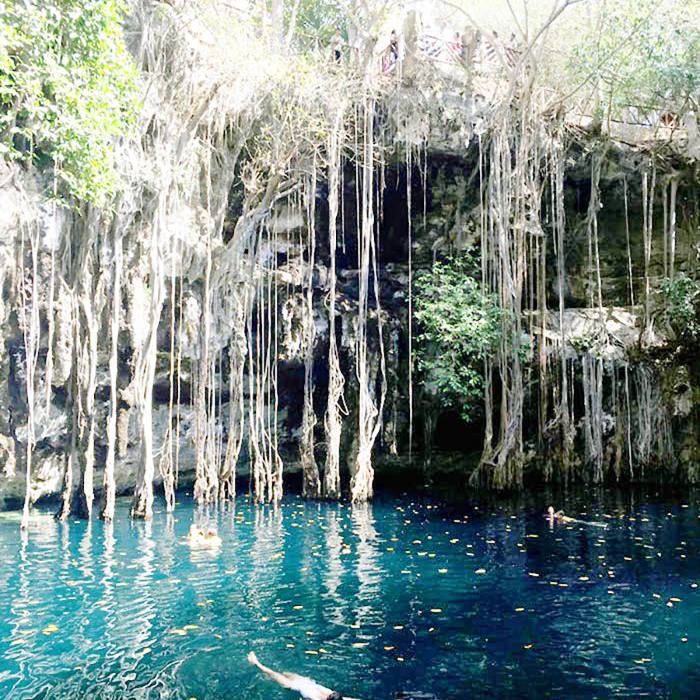 沿海沙漠纳米比亚