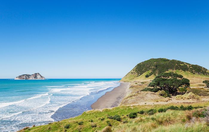 特Araroa步道 - 世界上最好的远足