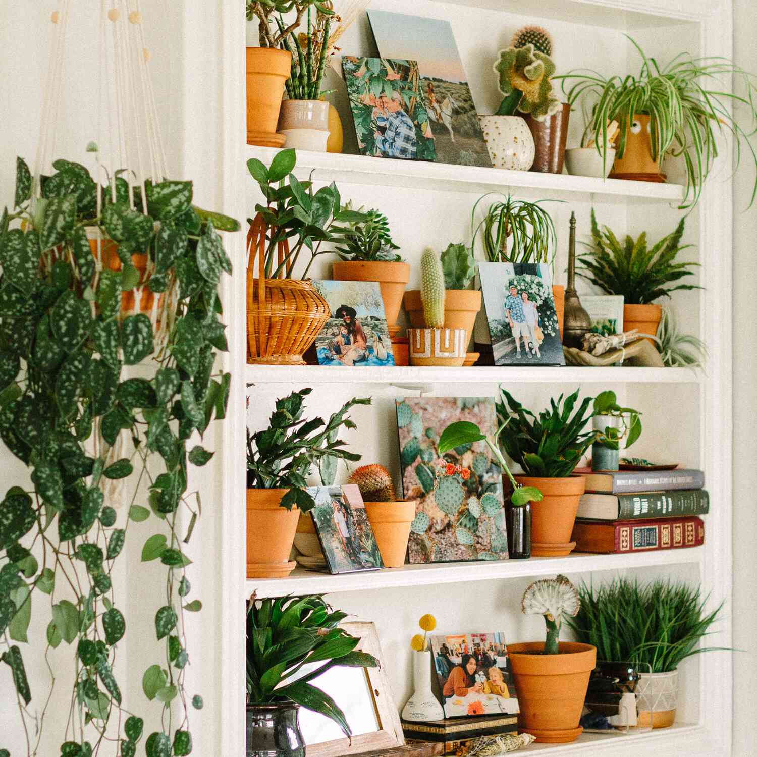 生日那天要做的事情——做一个植物父母