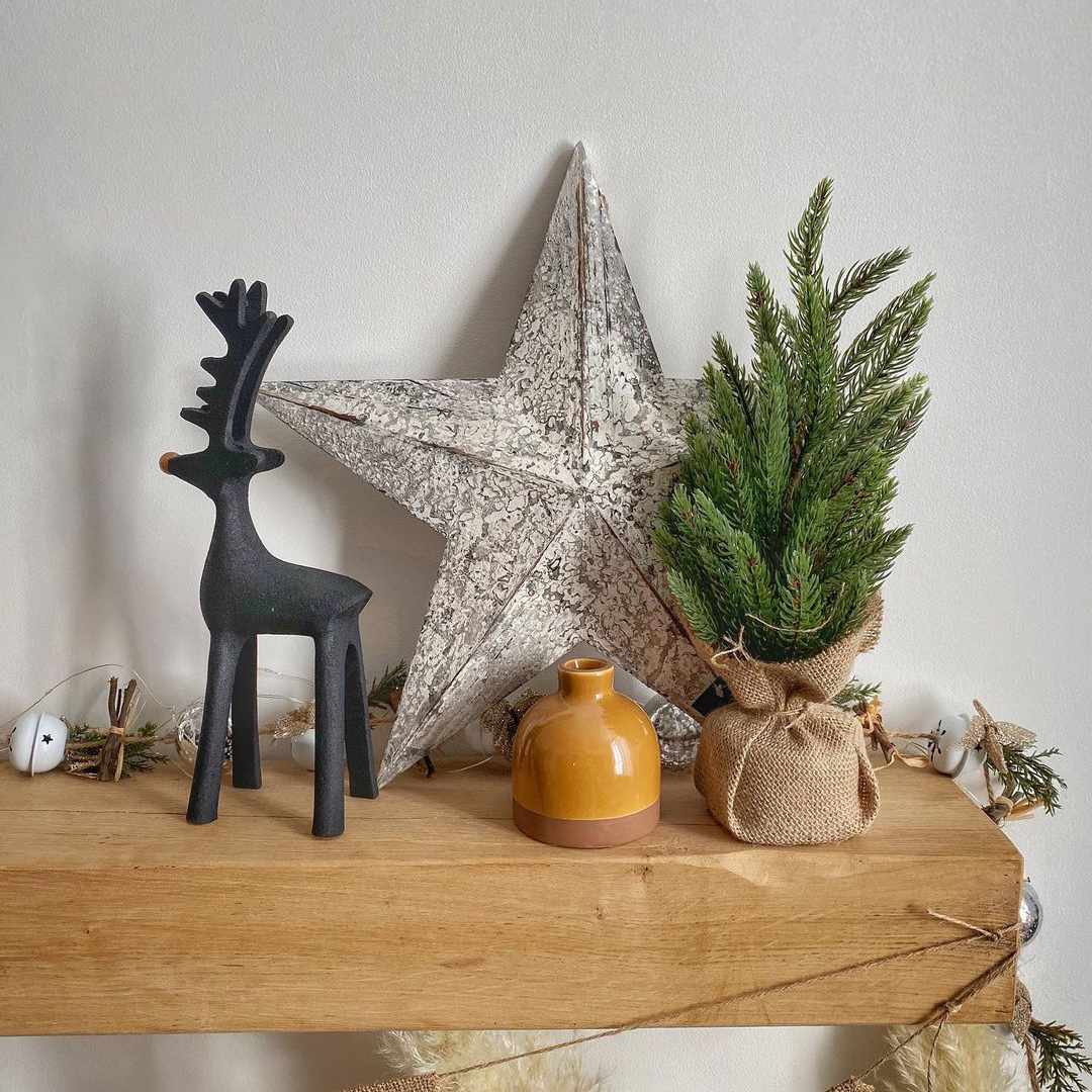 在披风的小树。