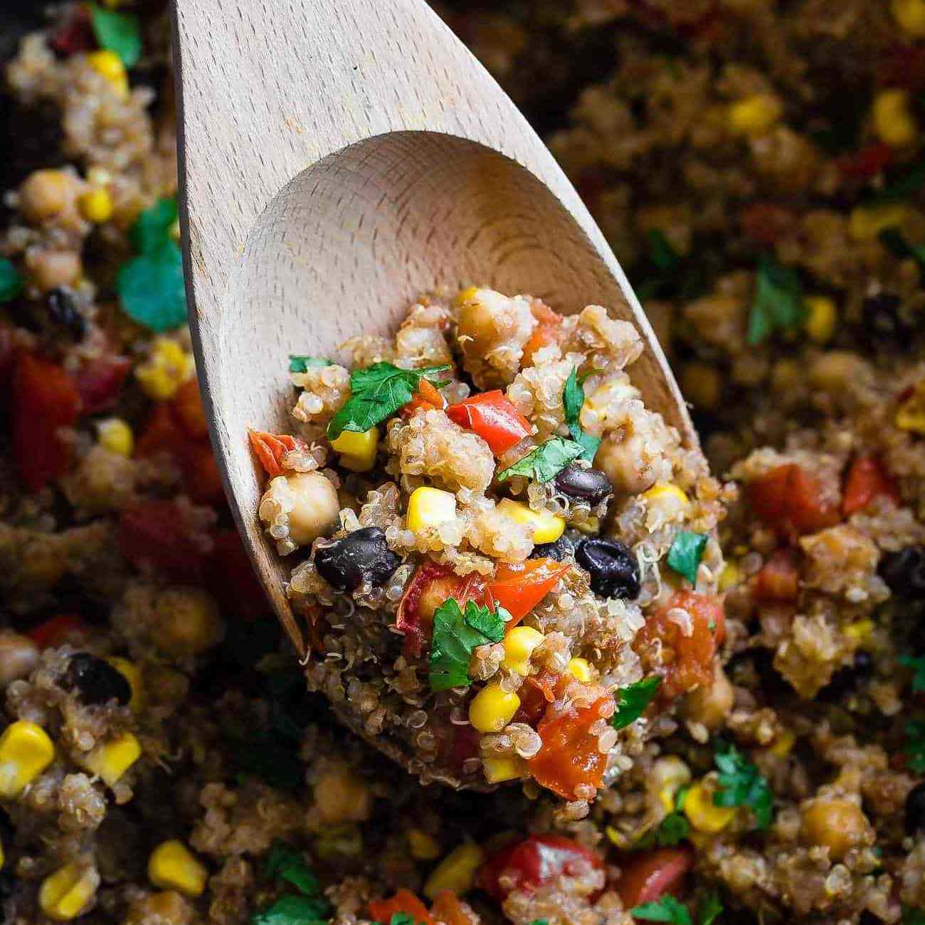 慢炖锅墨西哥砂锅藜