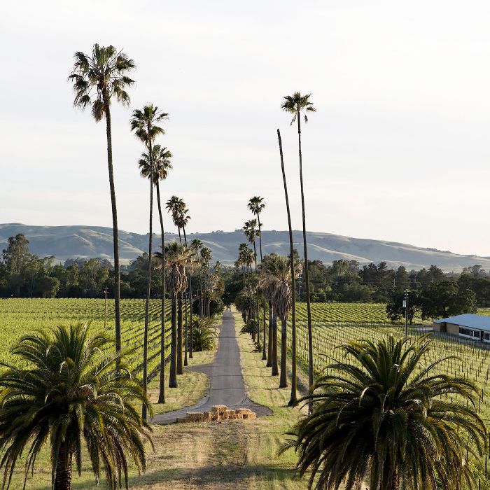 浪漫的周末去旧金山