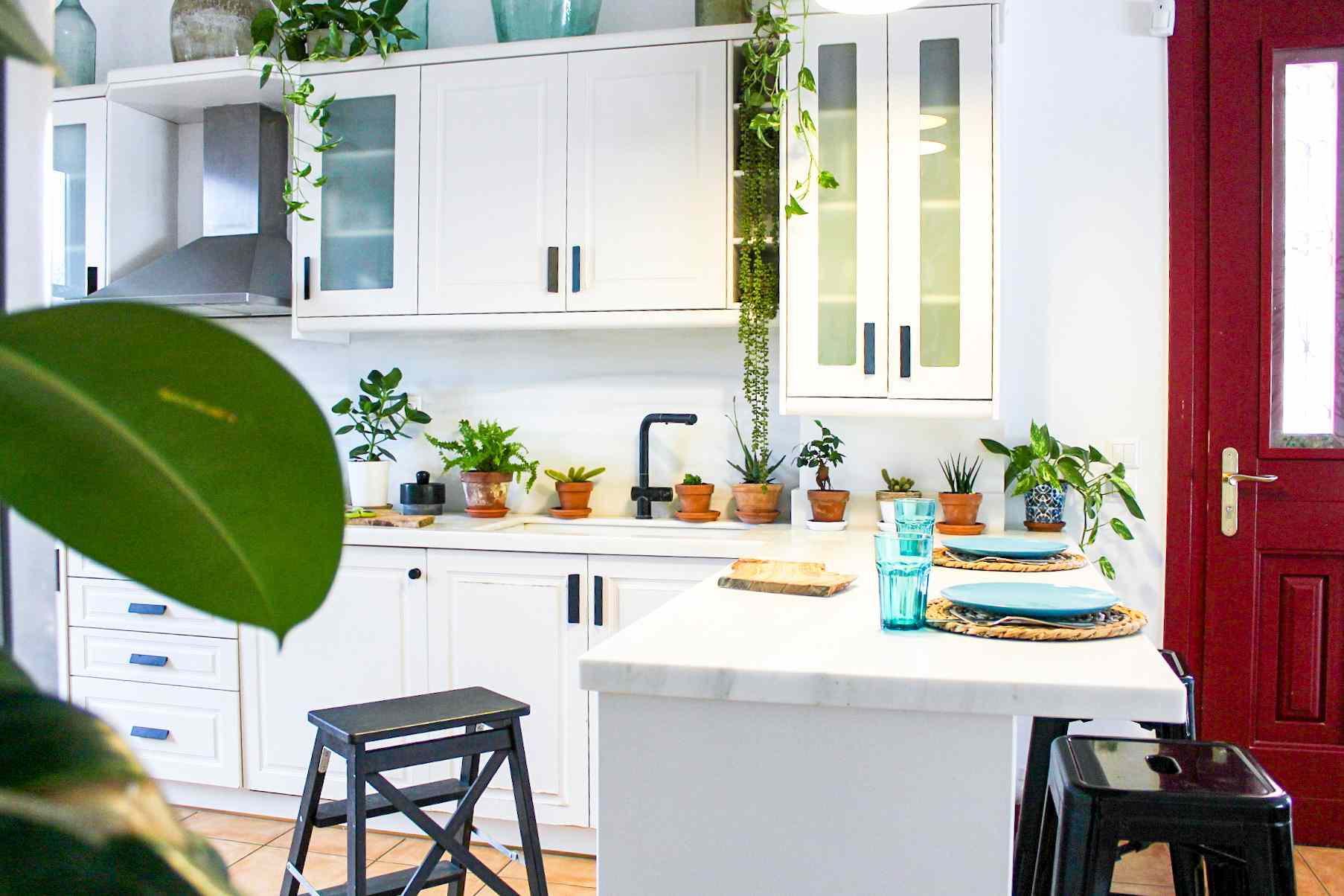 白色的厨房里种满了植物。