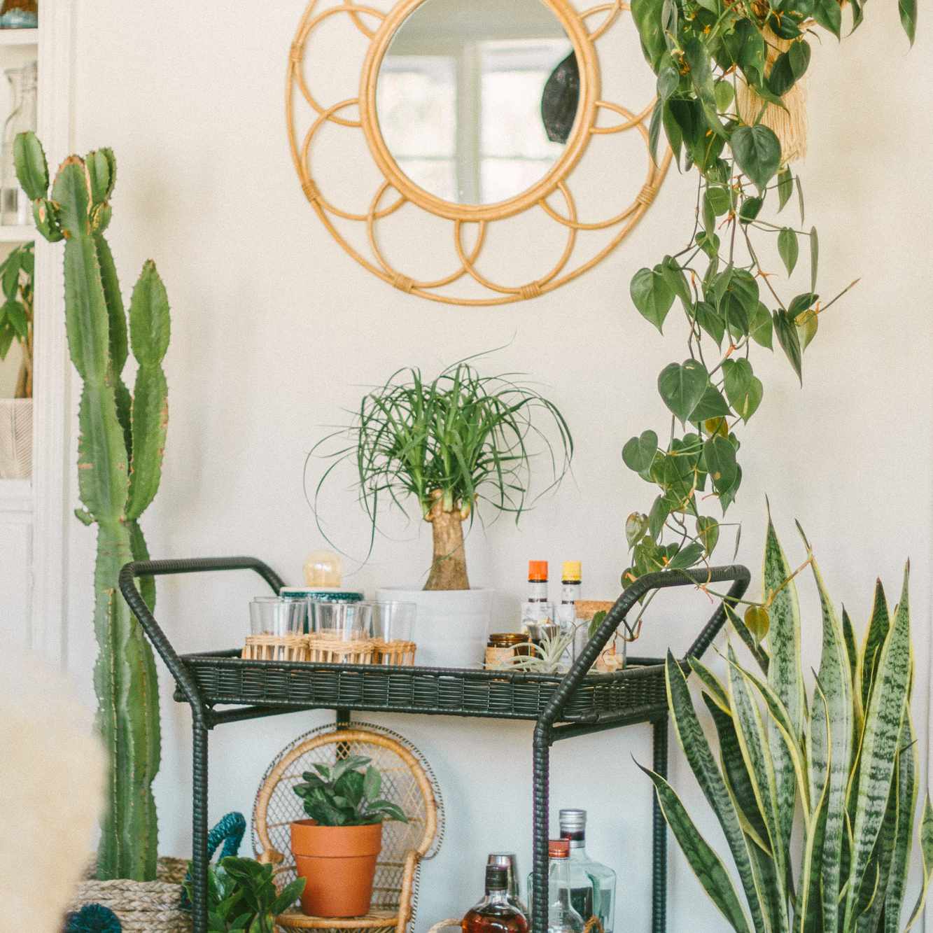 在绿色植物盖的酒吧推车。