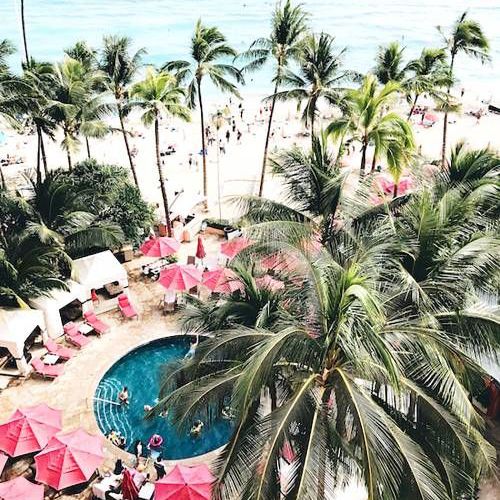 温暖的地方，参观美国冬季