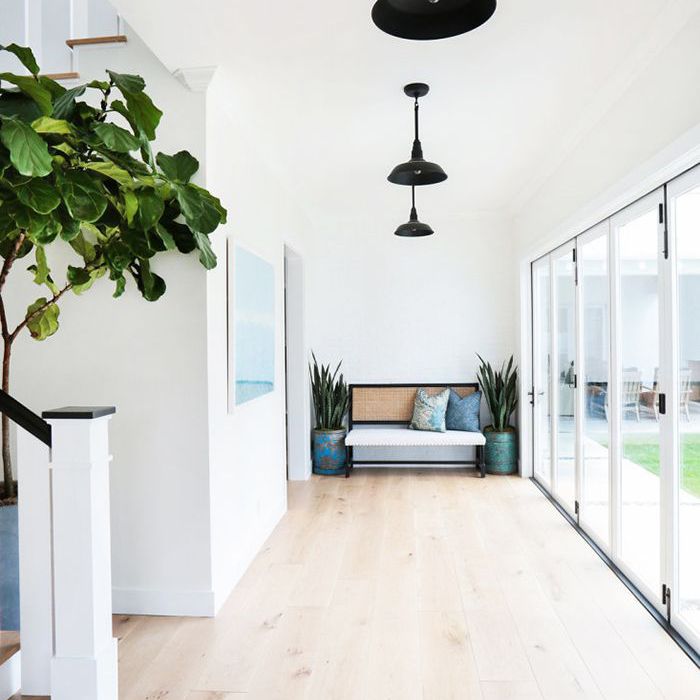 入口处的长椅两侧摆放着两盆盆栽