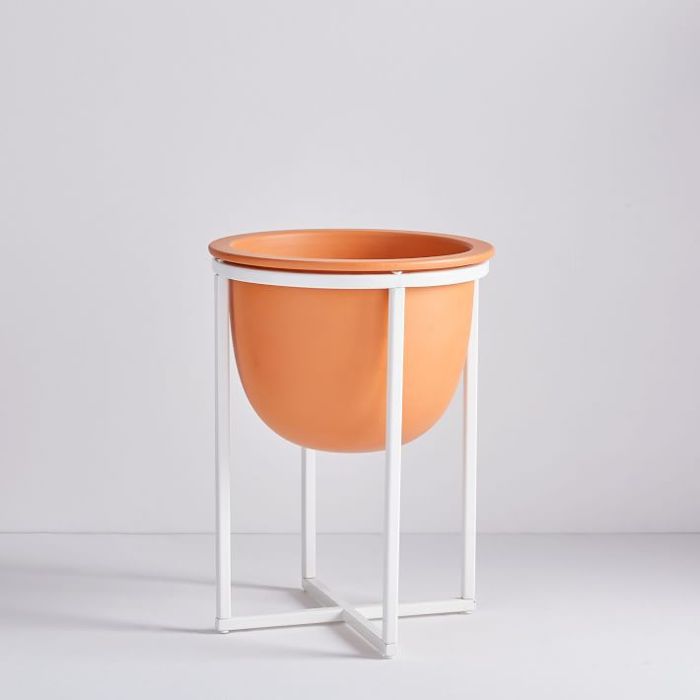 西榆树伊甸园十字架基地站立种植