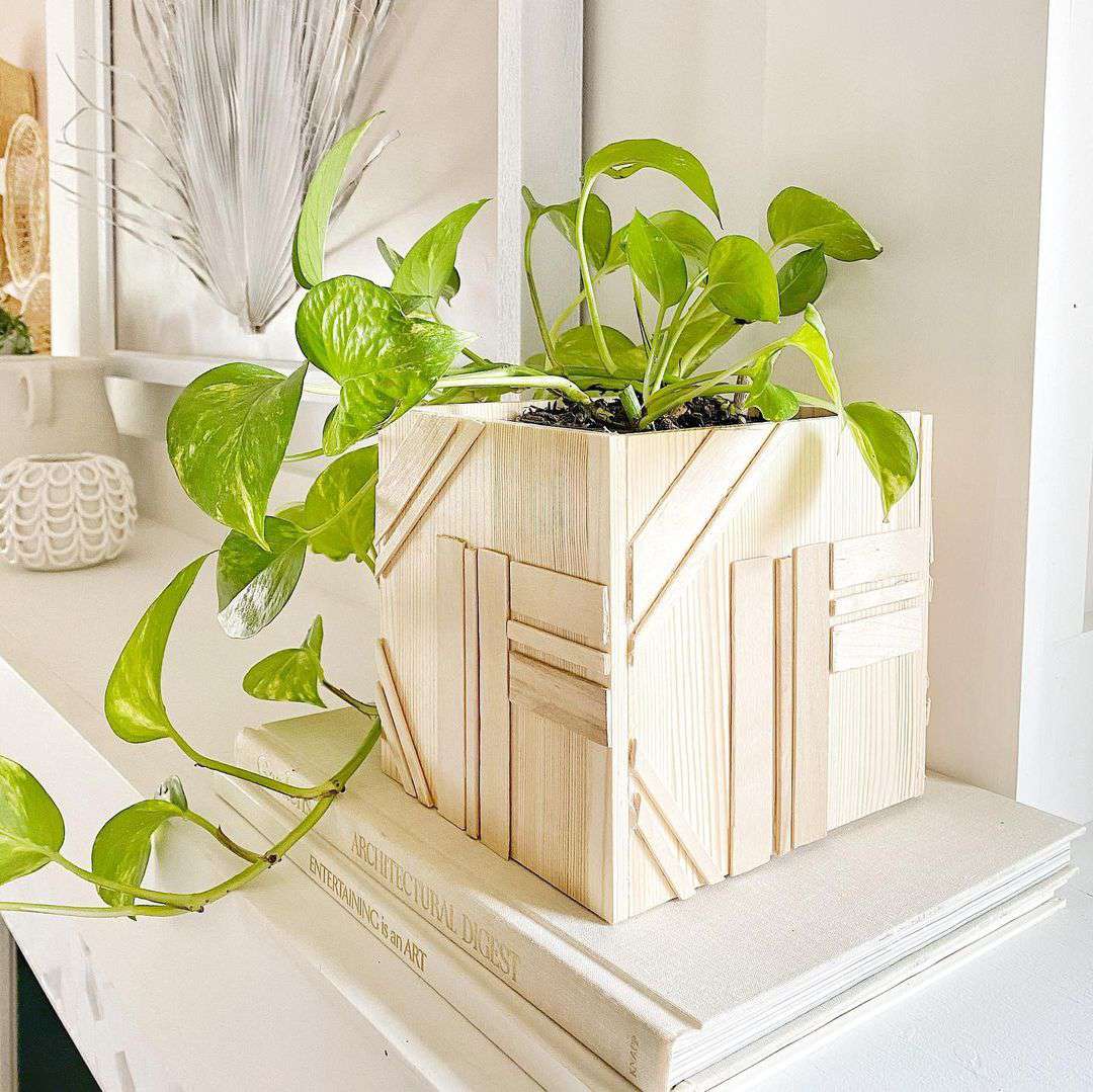 真正的象牙设计