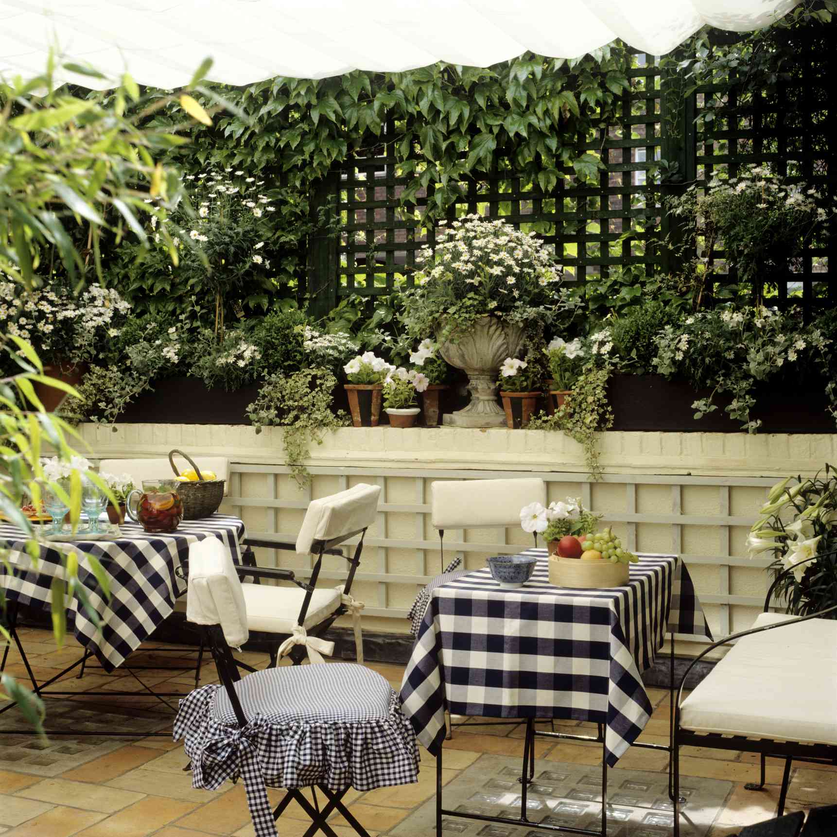 植物攀上花架，形成了一道隐私墙。