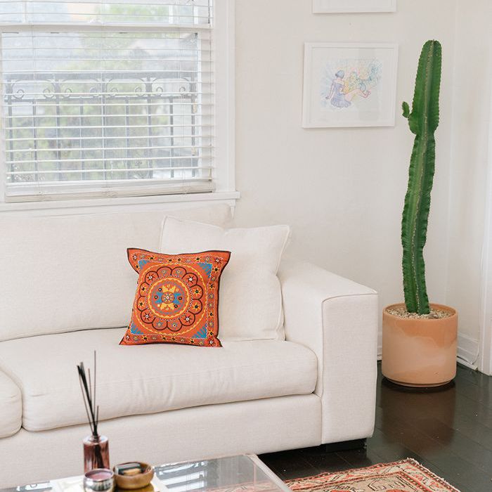 Zarna Surti的加州公寓风格