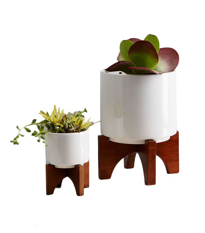 原来木腿播种机