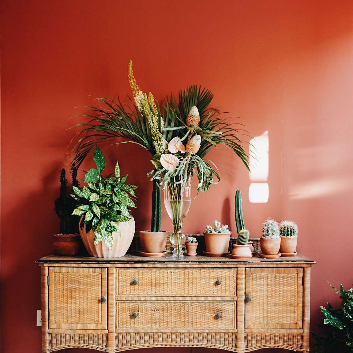 在藤梳妆台切花