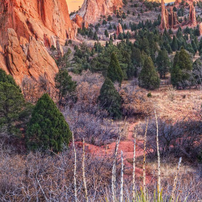 美丽的国家公园