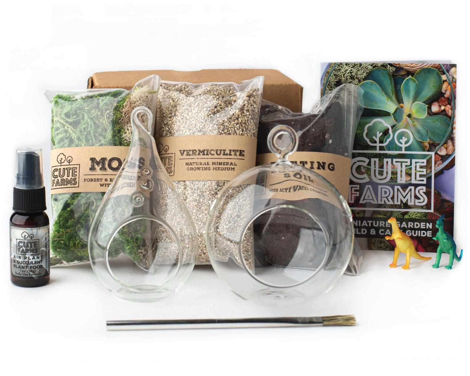 DIY玻璃杆菌套件