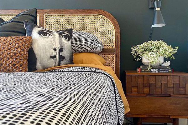 世纪中期混合卧室