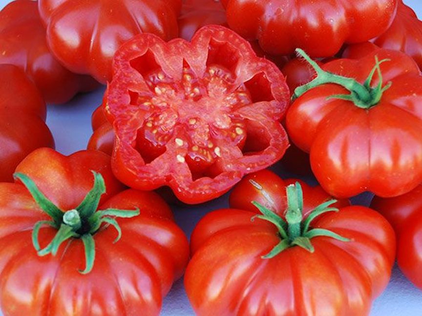 红罗索西西里番茄。