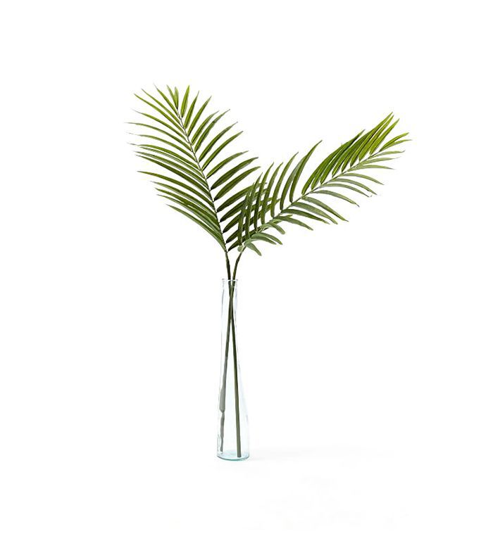 传统装饰理念-棕榈叶树枝