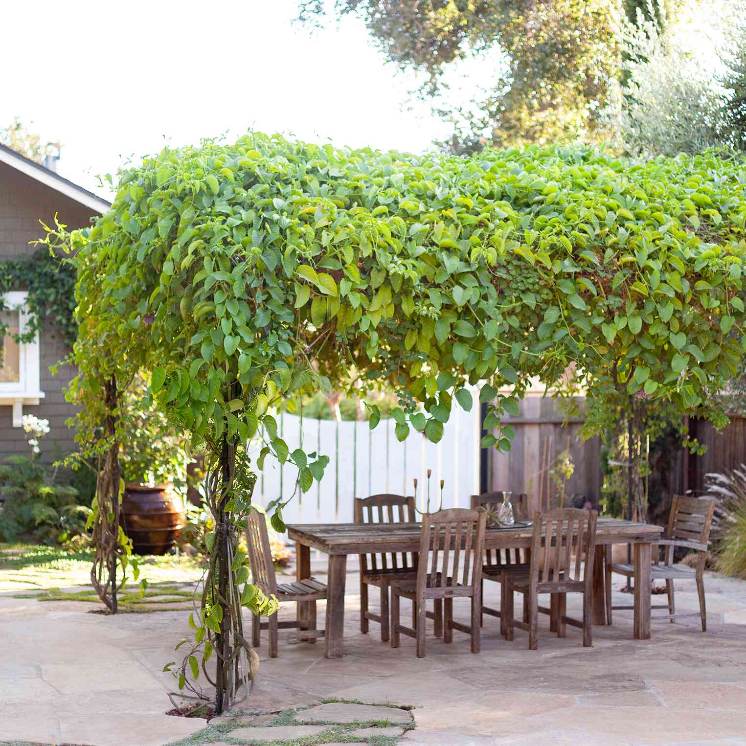 劳伦海诺回家旅游”class=