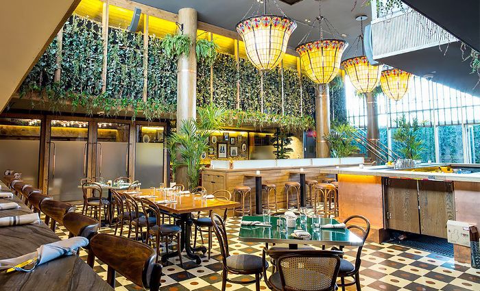 最佳餐厅在纽约 - 夹竹桃