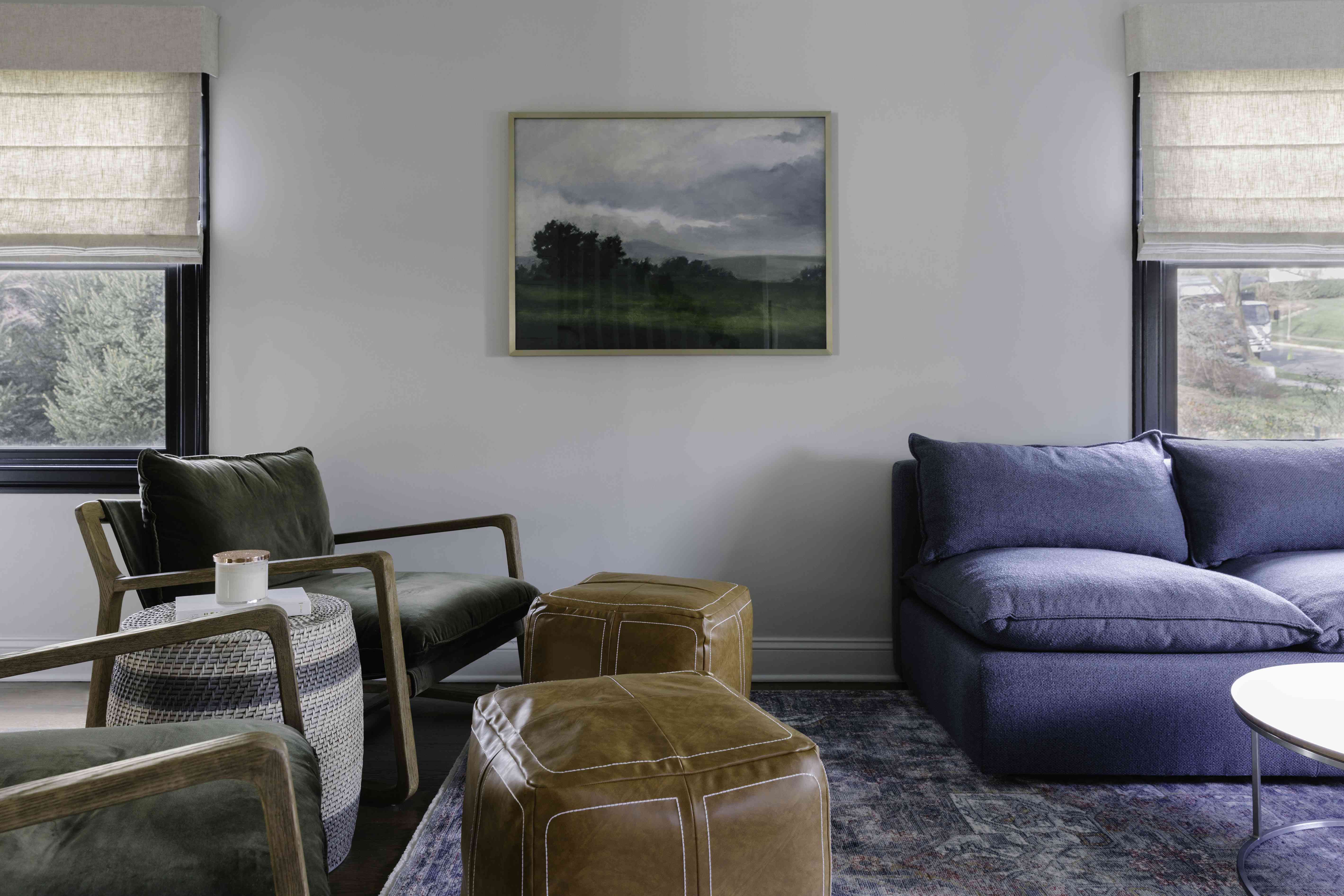 有棕色脚垫和景观艺术的客厅。