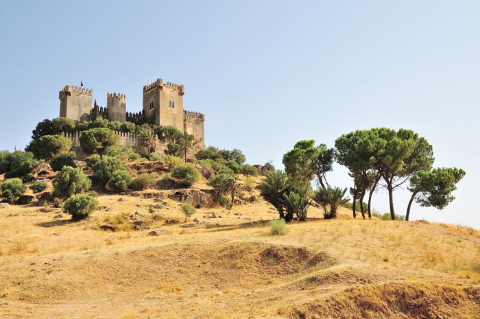 卡斯蒂略阿莫多瓦西班牙科尔多瓦