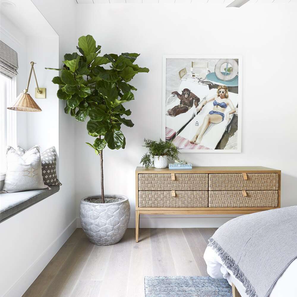 一个现代沿海卧室，有一个编织的控制台桌，小提琴叶无花果树，和一个大的kitschy海报