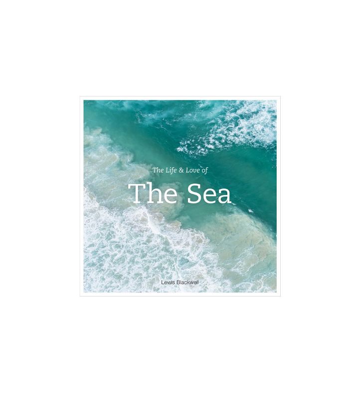 海的生活和爱情