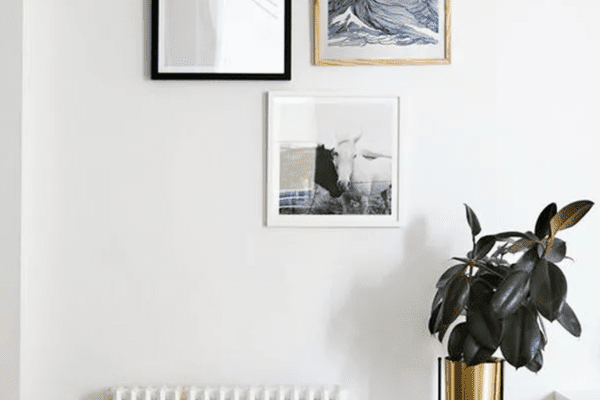 植物支架定位在框架墙壁艺术品下面