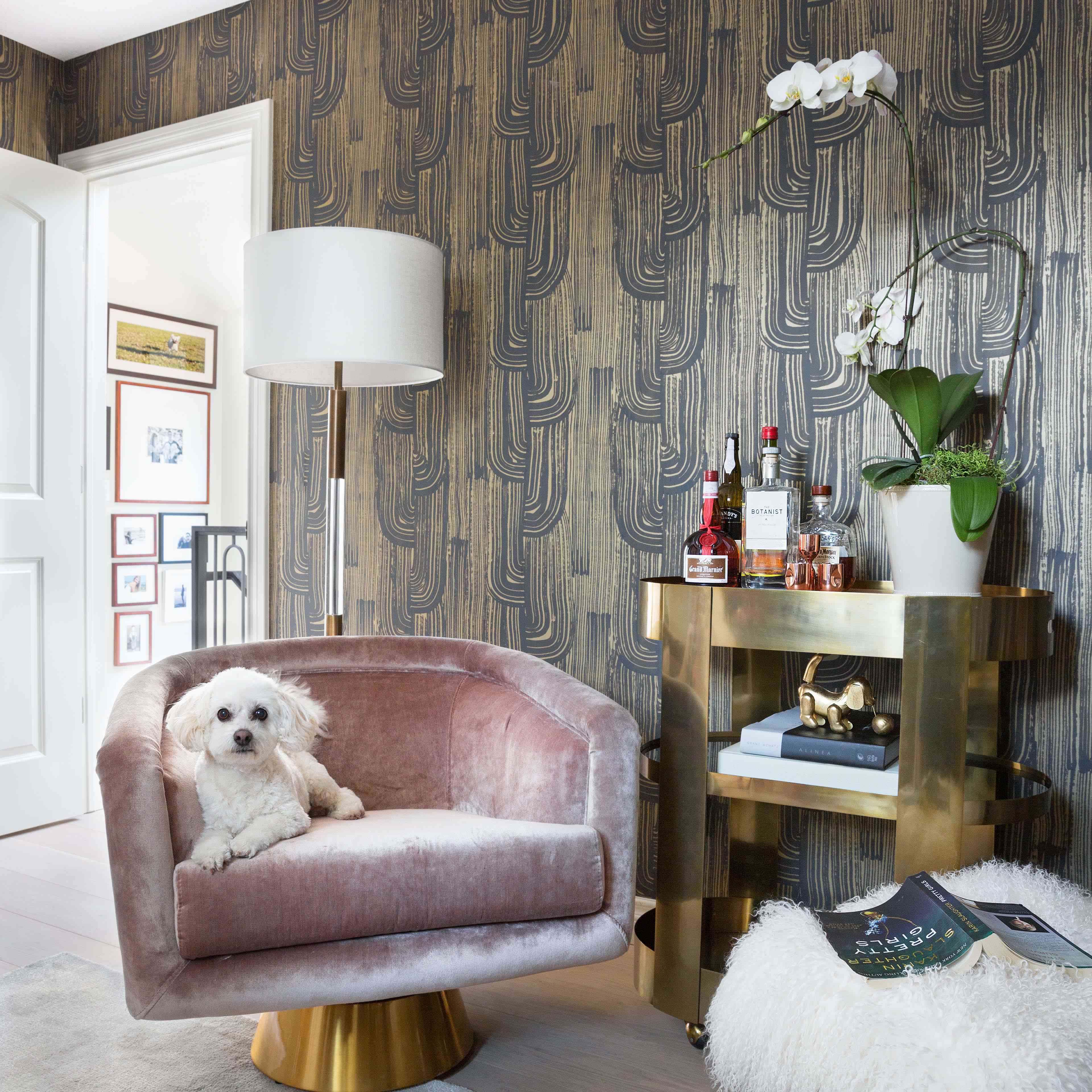 客房配有天鹅绒粉红色椅子