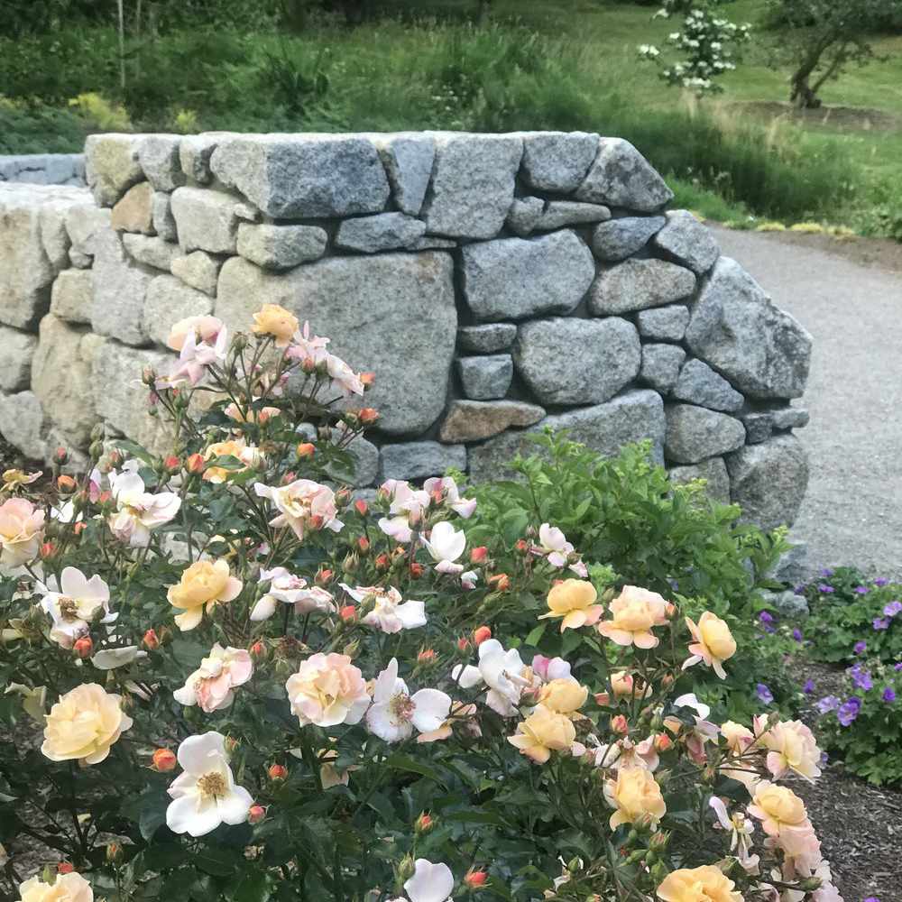 山寨庭院床与柔和的花。