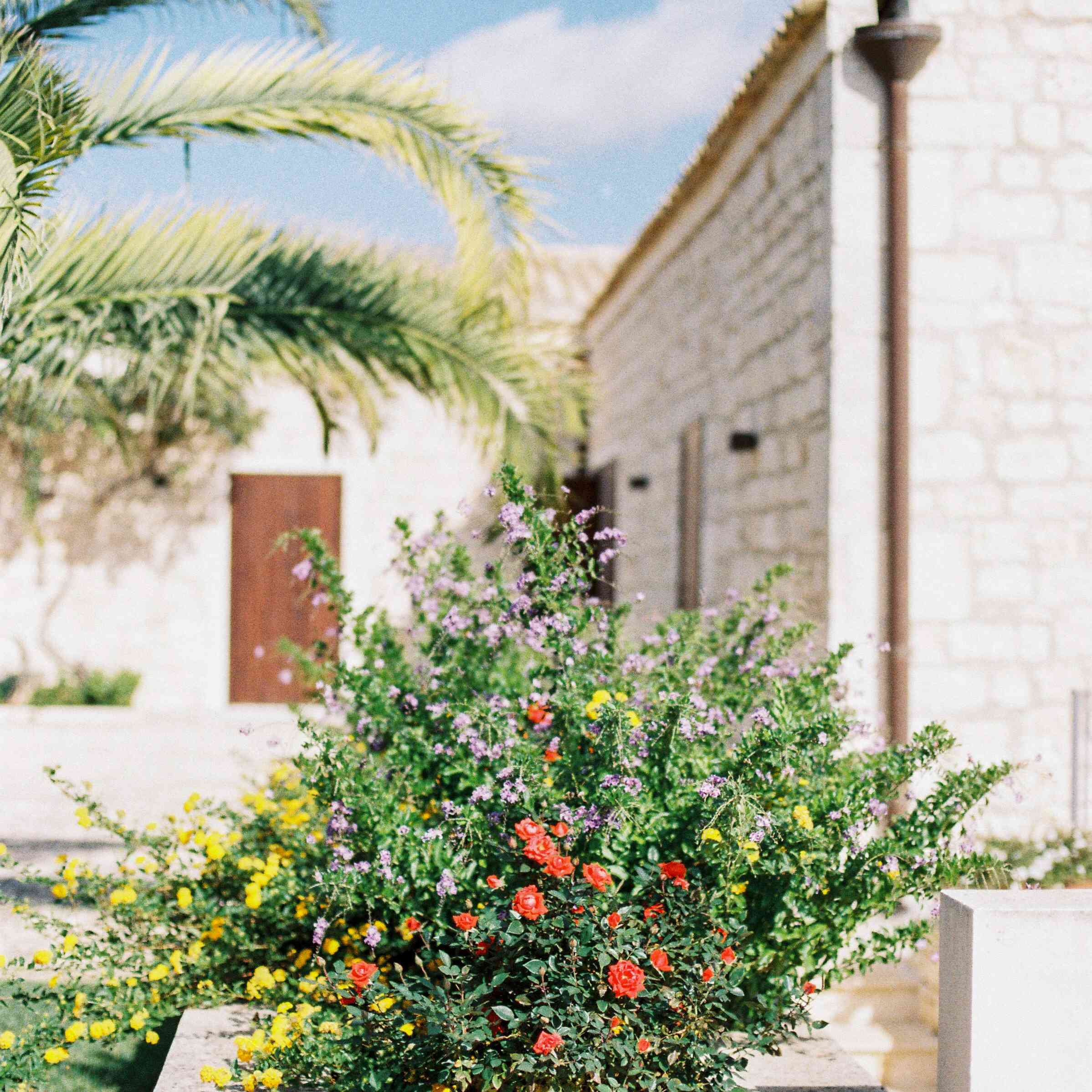 外观与混凝土花床和大灌木。