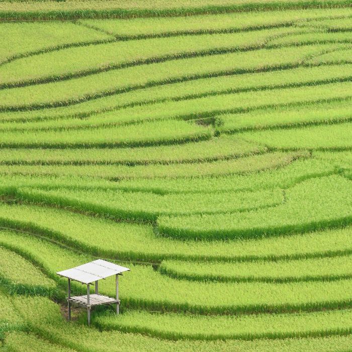 在世界最美丽的地方