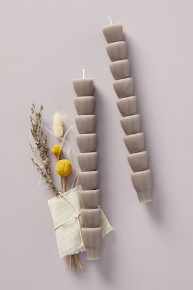 人类康星植物植物锥蜡烛套装