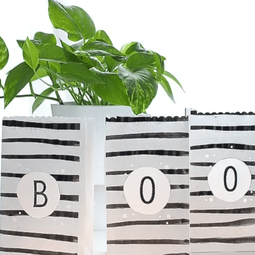 装有蜡烛的纸袋