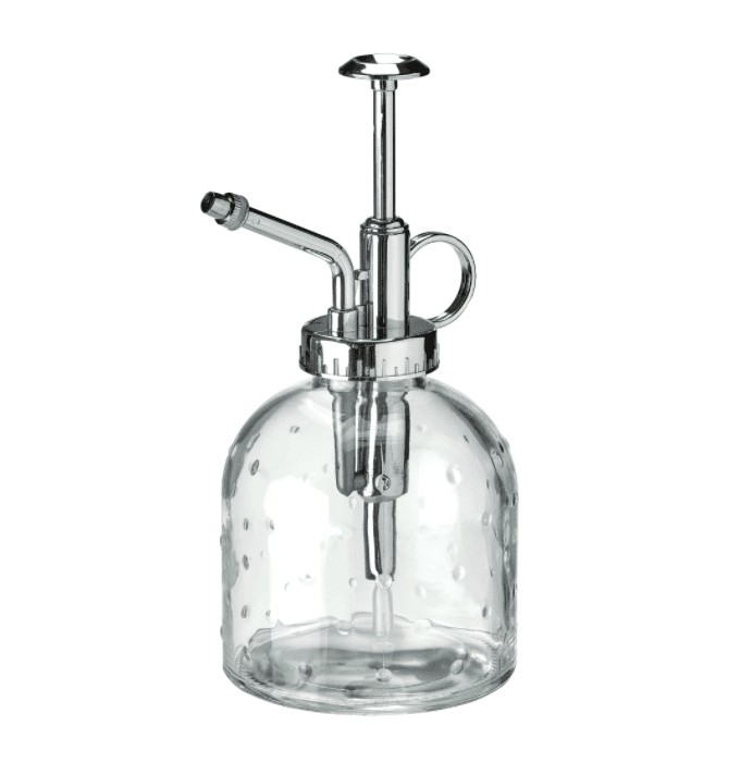 Sesamfrön植物Mister.