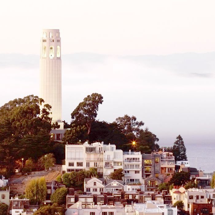 旧金山的科伊特塔的观点，在其电报山附近。