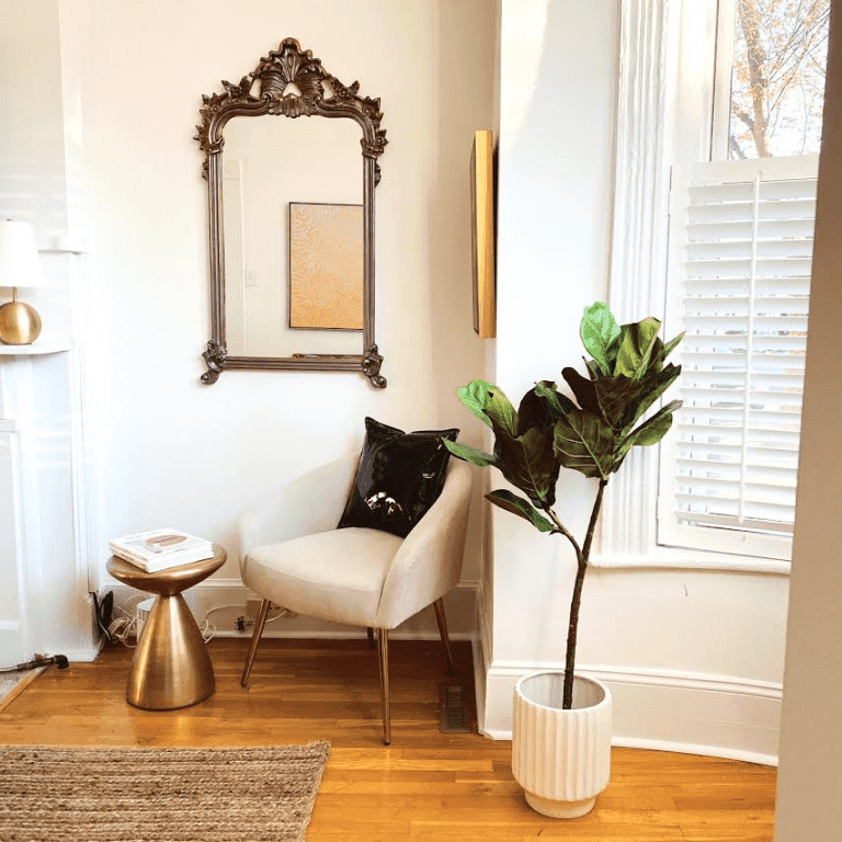 在植物旁边的白色现代扶手椅子。