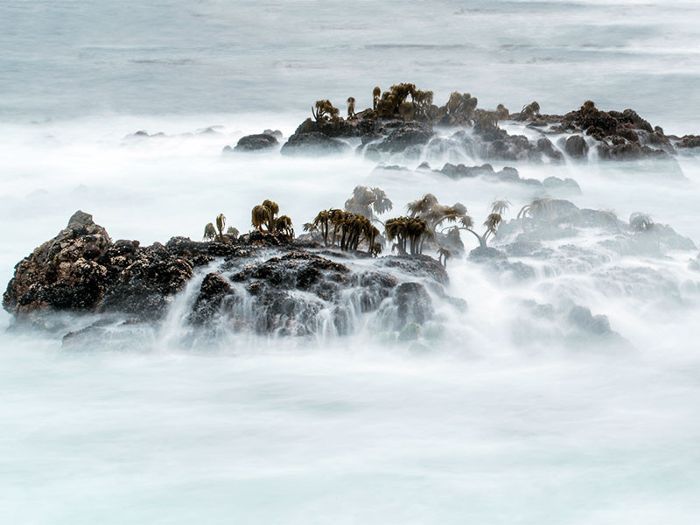 黑沙滩在加利福尼亚州